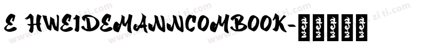 E HWEIDEMANNCOMBOOK字体转换